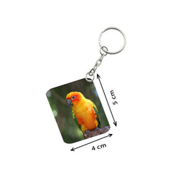 Pack of 3  Parrot One Side Printed Rectangle Designer Keychain (Orange)