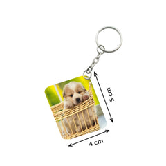 Pack of 3  Basket Dog One Side Printed Rectangle Designer Keychain (Brown)