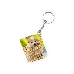 Pack of 3  Basket Dog One Side Printed Rectangle Designer Keychain (Brown)